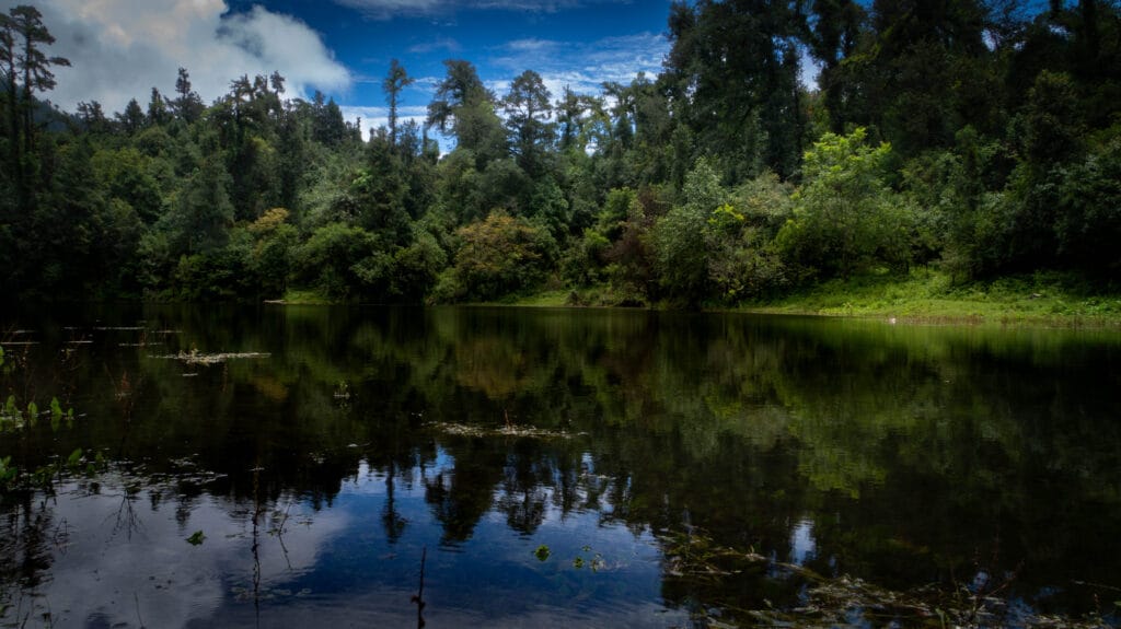 Dhalpokhari Badimalika (1 of 1)